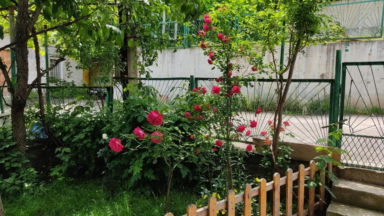 Borjomi Nest Hotel Екстериор снимка