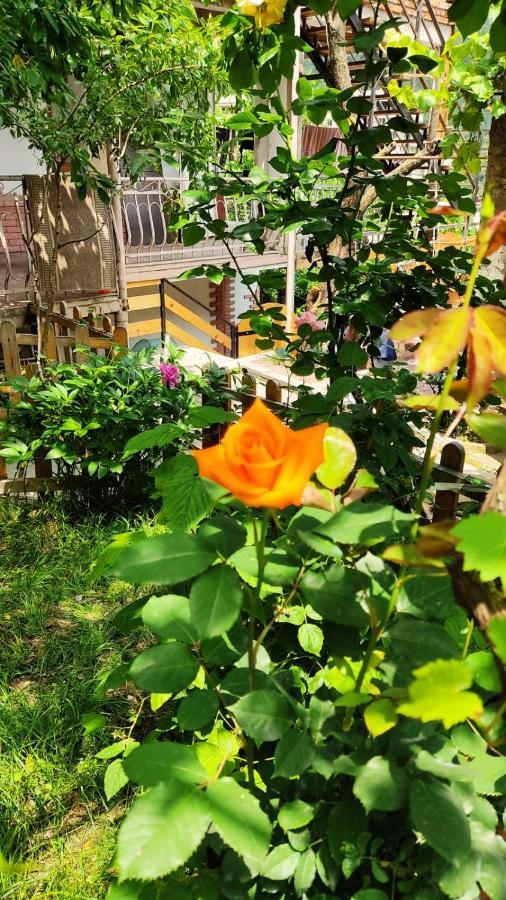Borjomi Nest Hotel Екстериор снимка
